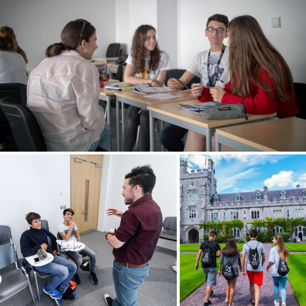 Corsi di lingua alla University of Limerick