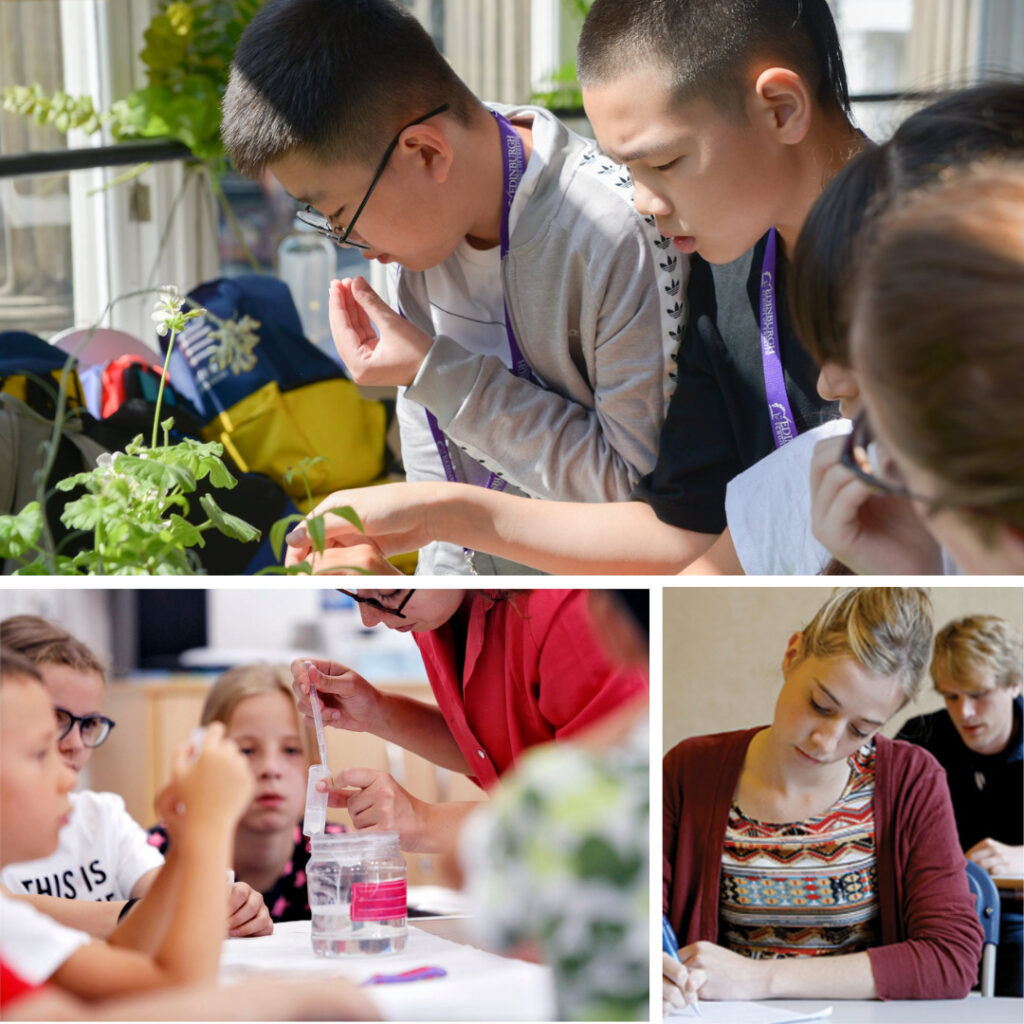 Corso di lingua alla Basil Patterson School