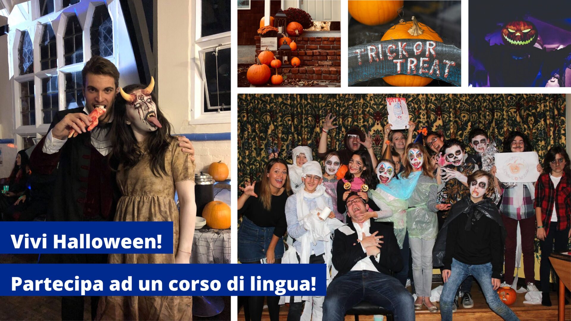 Corsi di Inglese all'Estero | Language Study 4 You