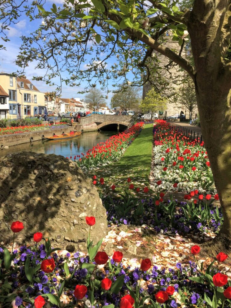 Corsi di lingua alla St. Giles Canterbury