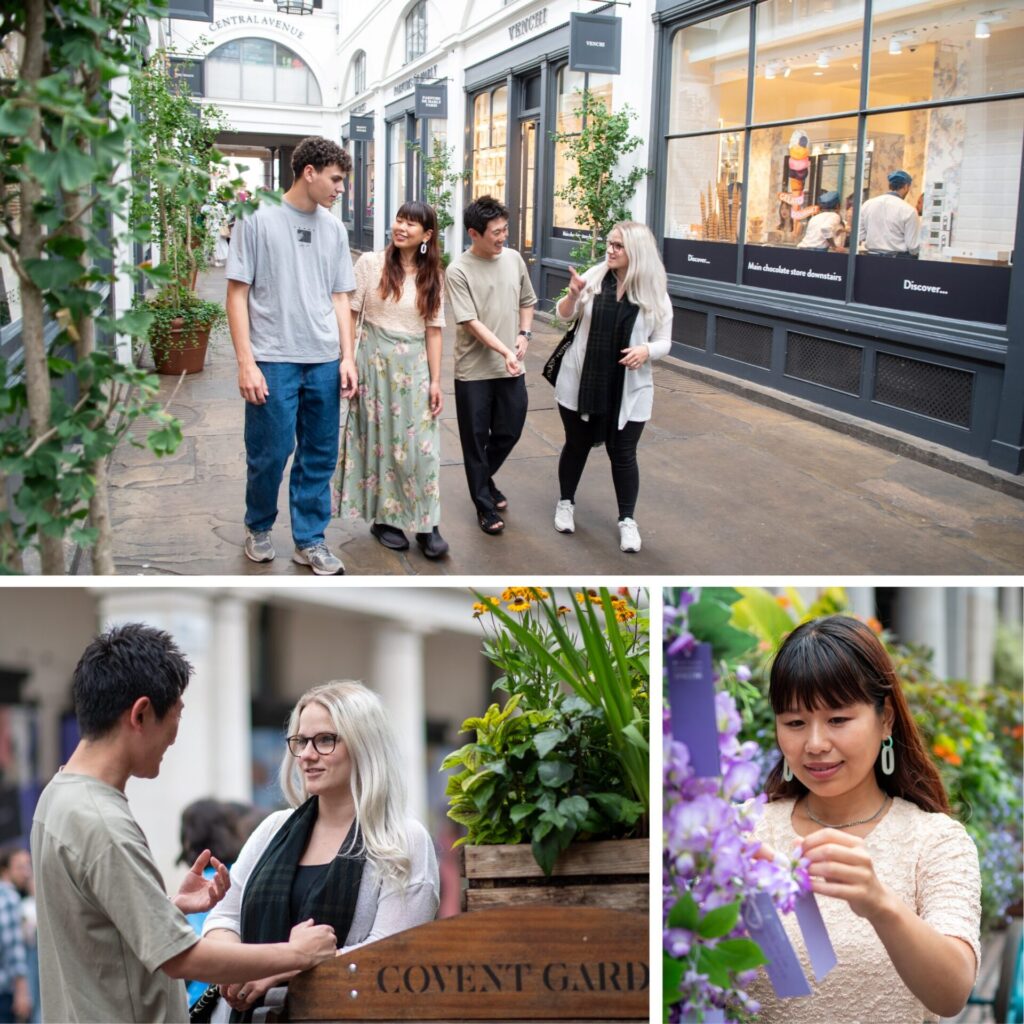 Attività ricreative